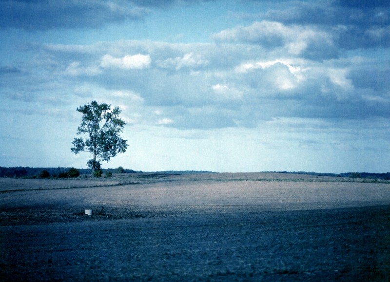 Konica Impresa 50@25 [expired 1993] (8).jpg