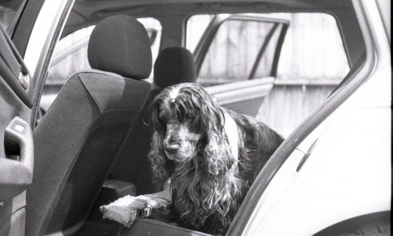 Ilford FP4 Plus 01500015.jpg