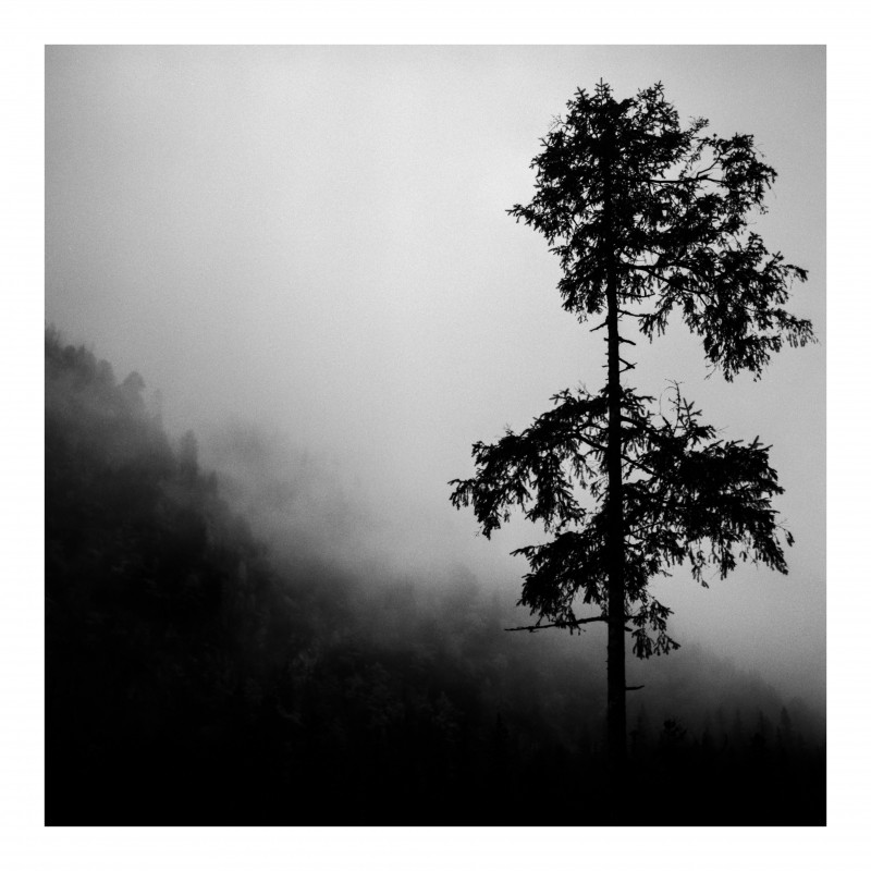 Whitagram-Image.jpeg